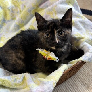 くりくりおめめ♡とても可愛いサラちゃん