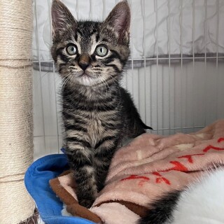 ステキな家族が見つかりました♡アオ君