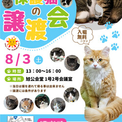 保護猫の譲渡会（横浜市旭区） サムネイル1