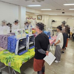 保護猫の譲渡会（横浜市旭区） サムネイル2