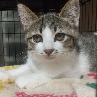 4兄弟の女の子！個性的な柄をしたお茶目女子