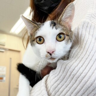 ナデナデ大好き甘えん坊❤雪丸