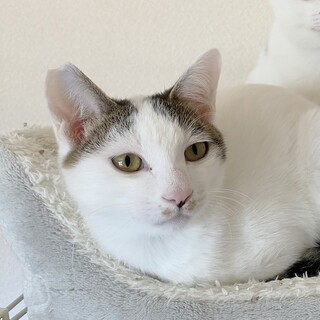 甘えたさん❤ポポ