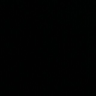 里親さん決まりました!!