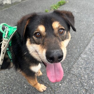 まろ眉がチャームポイントな【つなひこ】くん