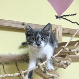 【8/18東銀座】はなもくん★3ヵ月半♪