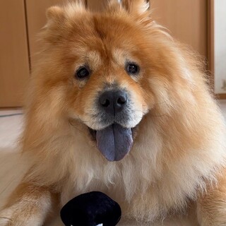 いつもニコニコ明るいえりちゃん