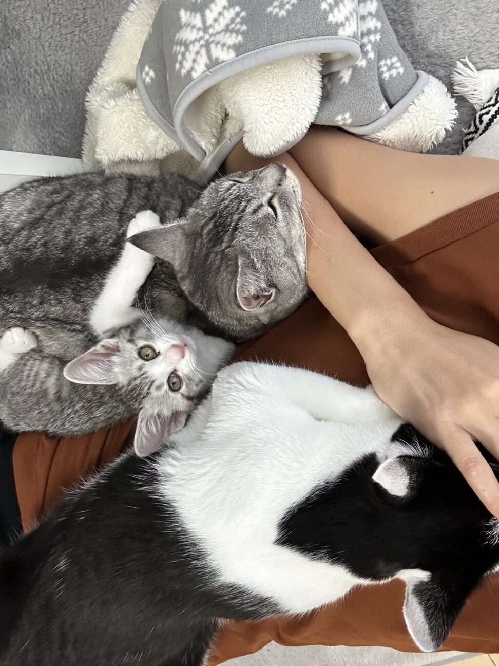 そばちゃん♂里親募集中 サムネイル2