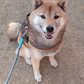 大人しくて 人が大好きなオトコのコです