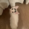 ヤンチャ盛り！大きな目が魅力の3ヶ月ぐらいの男の子