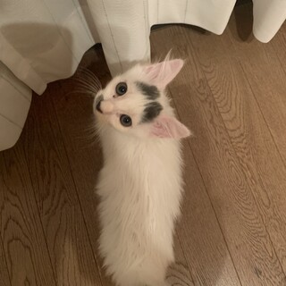 ヤンチャ盛り！大きな目が魅力の3ヶ月ぐらいの男の子