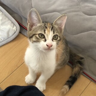 凪ちゃん。お化粧濃いめの歌舞伎顔の女の子