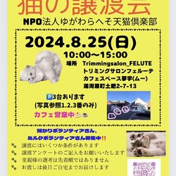 第14回猫の譲渡会 at 湯河原町