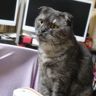 ブラックスモーク★ロック君