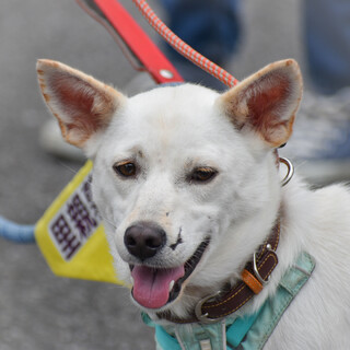 ゆきな　女の子