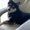 の写真