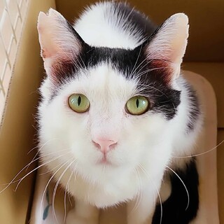 甘えん坊の男の子