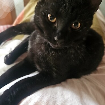 アムル生後４ヶ月