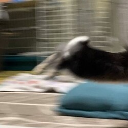 「ジャ～ンプ ！！」サムネイル2