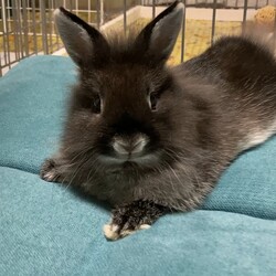 「ジャ～ンプ ！！」サムネイル3