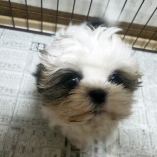 一旦、新規の方の申し込みを中止させて下さい。すす