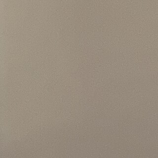 長毛猫さん　「預かり猫さん」