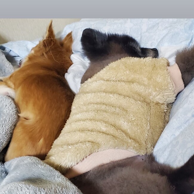 鶴見のカバー写真