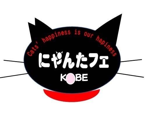 にゃん太の会 :: ペットのおうち【里親決定29万頭！】