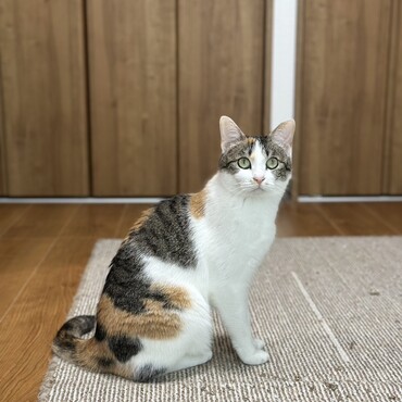 の写真
