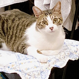 ˚✧₊くうちゃん˚✧₊