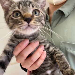 人慣ればっちり♡にゅう君