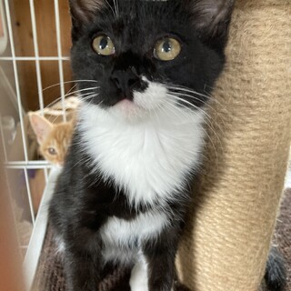 元気な白黒くん♪