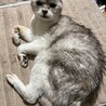 の写真