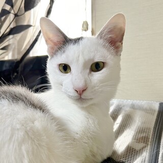 呼べば飛んでくる甘えん坊❤ぎゅう