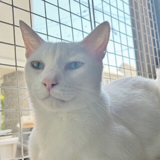 抱かれたい男No.1！とにかく甘えん坊❤きぃ