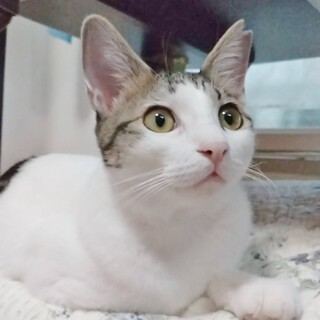 とってもチャーミング❤ニクス