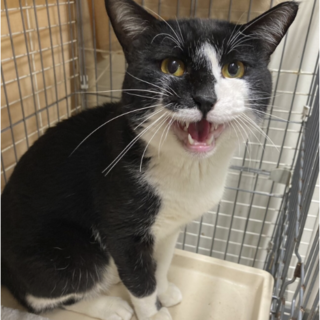 トライアル！！！慣れてる大ボディジョン