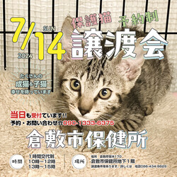 倉敷市保健所保護猫譲渡会（予約制）