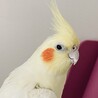 ナニワ34