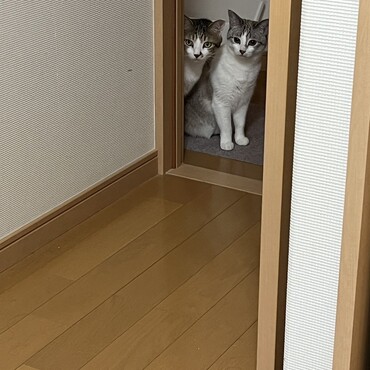 の写真