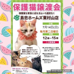 7月14日(日)島忠HOME'S東村山店譲渡会！