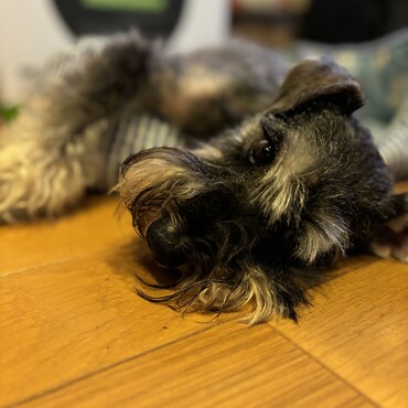 眠い