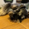眠い
