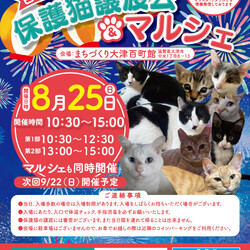 百町保護猫譲渡会＆マルシェ