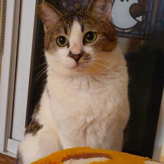 やんちゃな甘えん坊