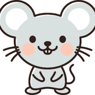 ファンシーラットメス  人馴れしています