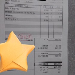 「避妊手術しました」サムネイル2