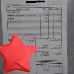 「避妊手術しました」サムネイル3