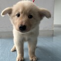 ふわふわ　おとなしめの２ヶ月