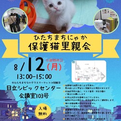 ひたちまちにゃか保護猫里親会